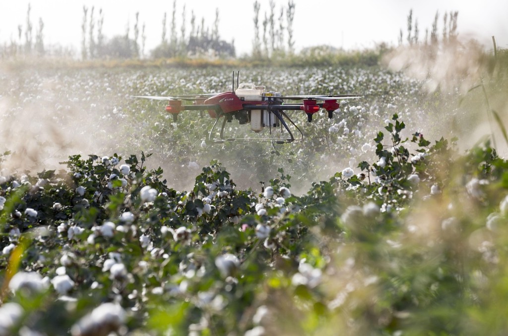 An agricultural drone spraying crops in a cotton field